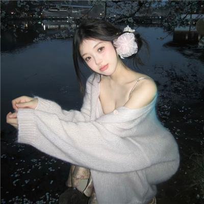 完美伴侣