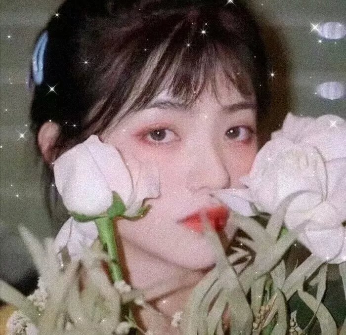 鲁邦的女儿2019